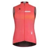 GOBIK Gilet Plus 2.0 -Specialized Soldes gobik gilet plus 20 jackets 10 04 002 3 41720